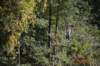 dsc_4014_small.jpg