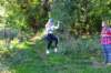 dsc_4096_small.jpg