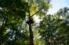 dsc_4097_small.jpg