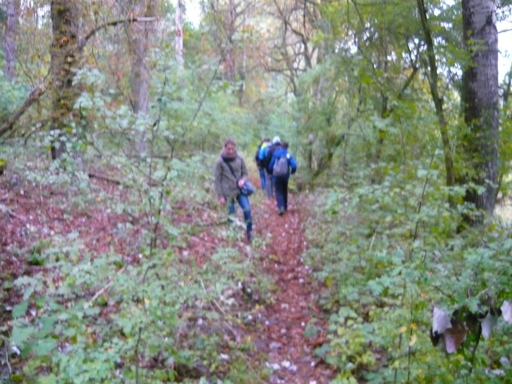 p1010745.jpg