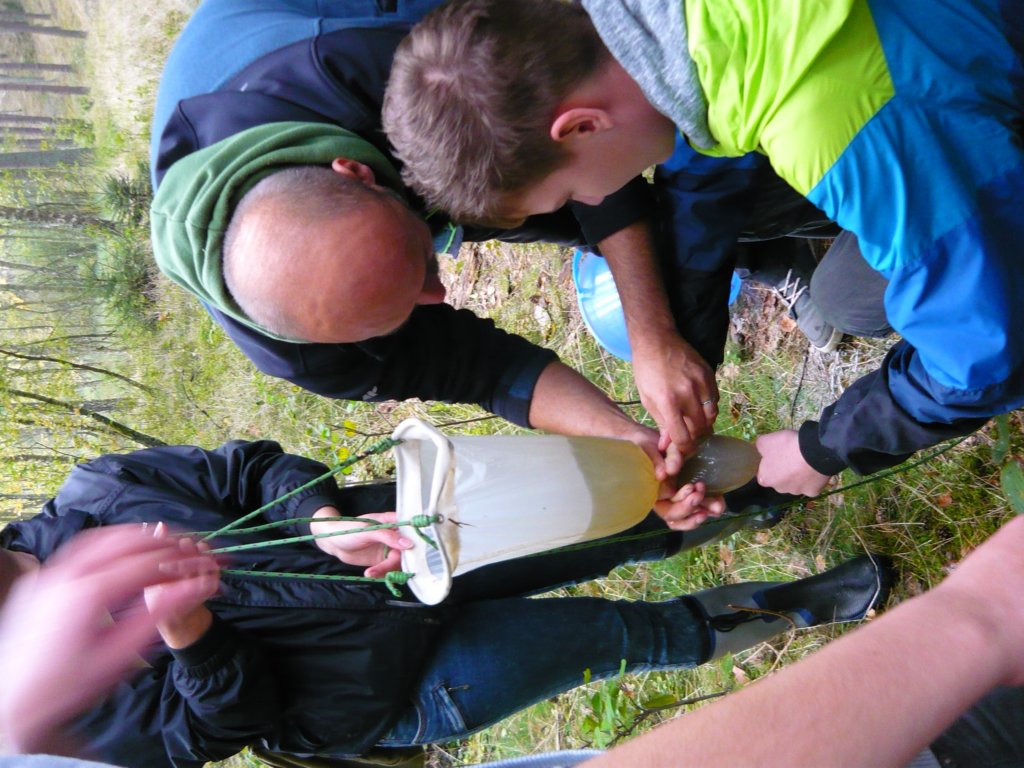 p1010755.jpg