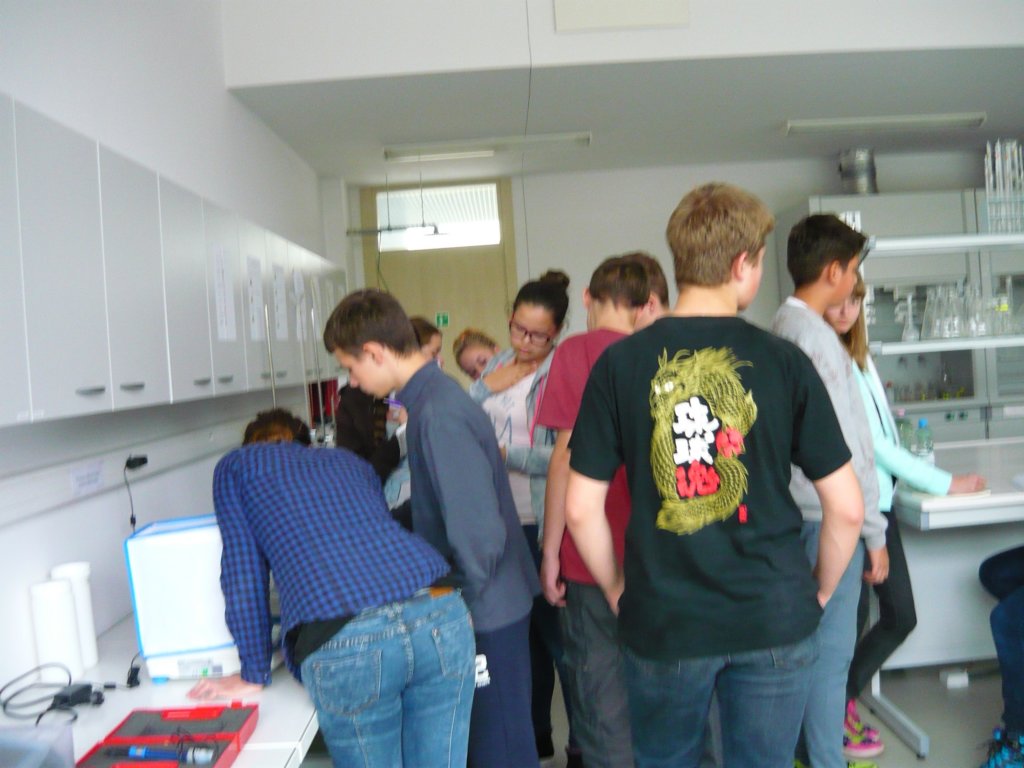 p1010763.jpg