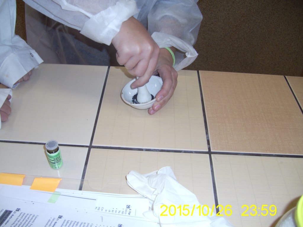 pic_0587.jpg