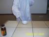 pic_0588_small.jpg