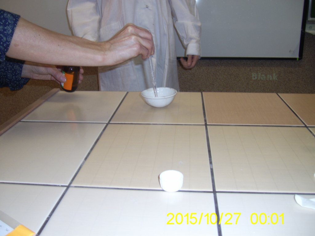 pic_0589.jpg