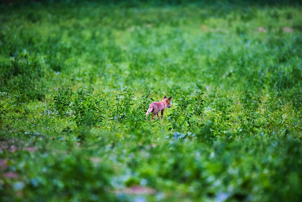 _DSC5572