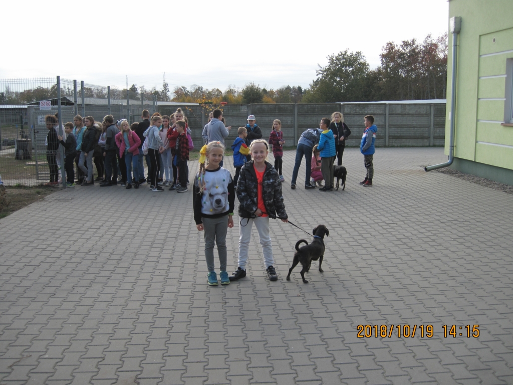 IMG_0290[1]