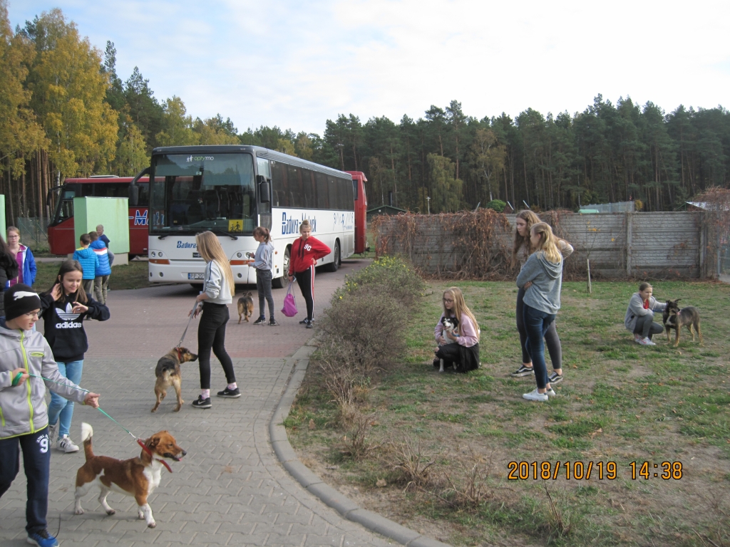 IMG_0333[1]