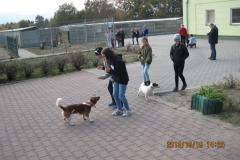 IMG_0305[1]