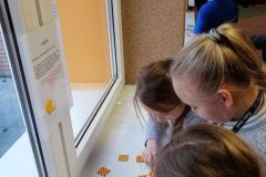 IMG_20200110_094848