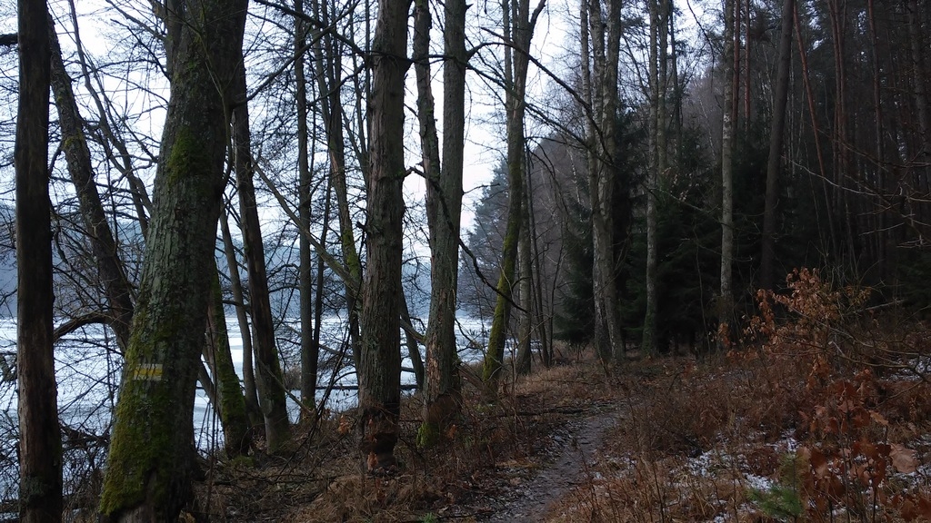 20190202_103738
