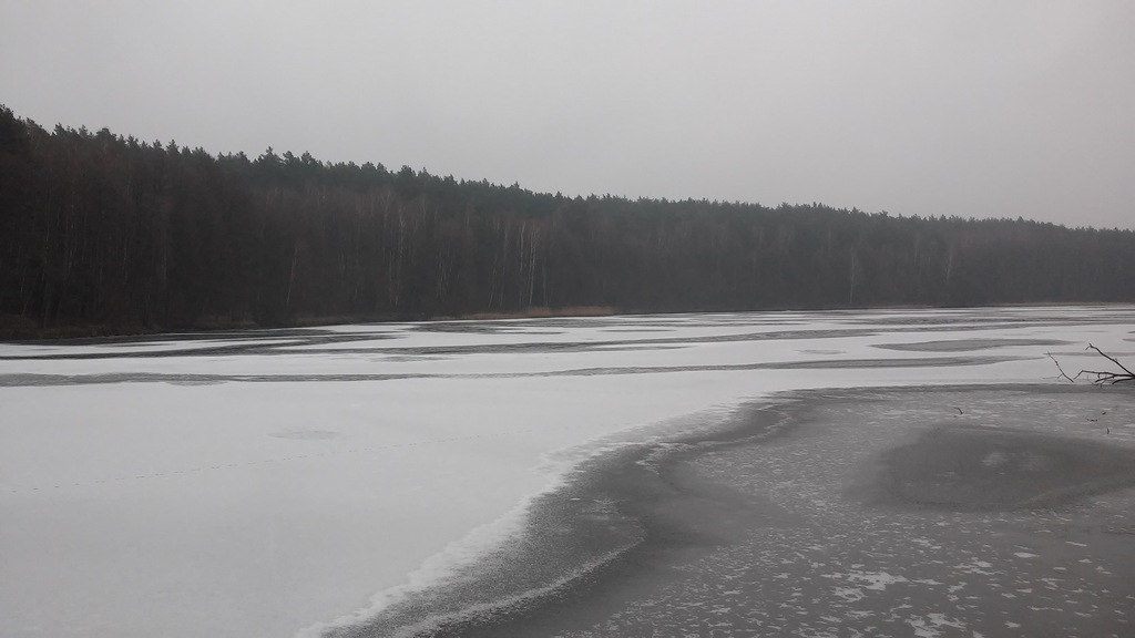 20190202_103927