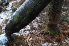 20190202_103712