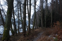 20190202_103738