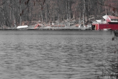 DSC_0139