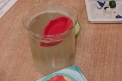 IF