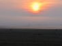 2019 03 30 Las Wrząca