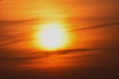 DSC_0203