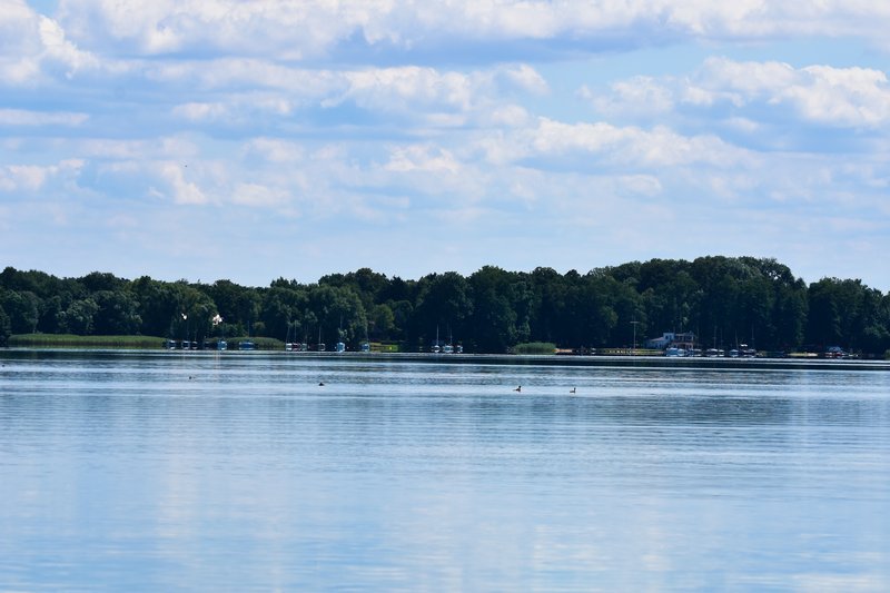DSC_4928
