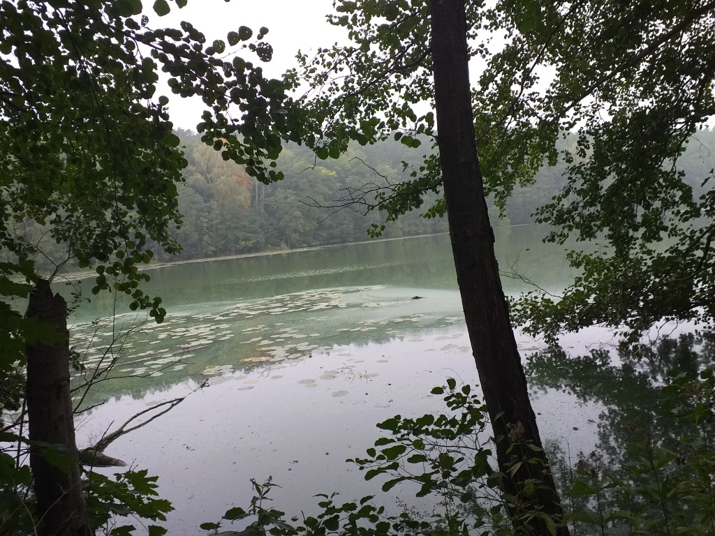 20190925_111350