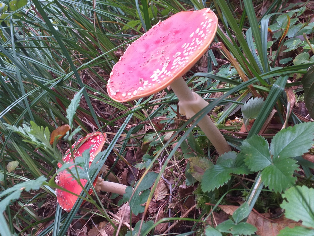 20190925_112812