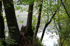 IMG_20190926_132802