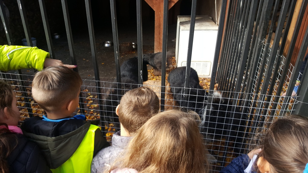 20191018_105508_resized