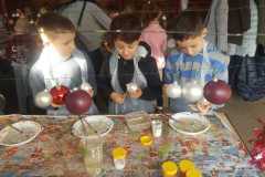 IMG-20191120-WA0006