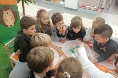 IMG_20191114_113701