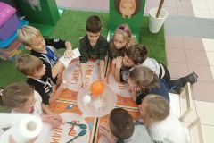 IMG_20191114_113925