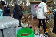 IMG_20191212_141400