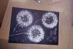 IMG_20191121_084628