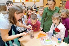 IMG_20191212_1036114762