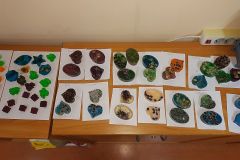 IMG_20191213_093835649