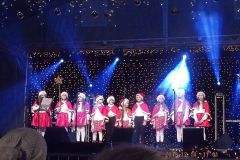 DSCF0677
