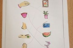 IMG_20200114_125337