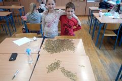 IMG_20200131_142024