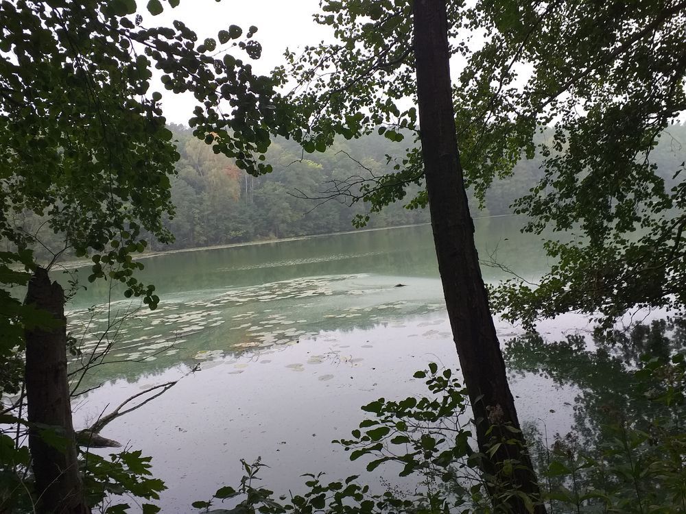 20190925_111350