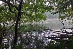 20190925_111308