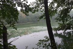 20190925_111350