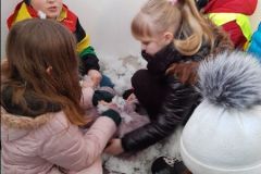 IMG_20200305_102257350