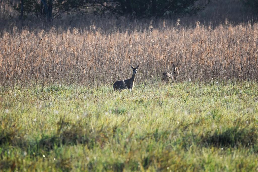 DSC_7363