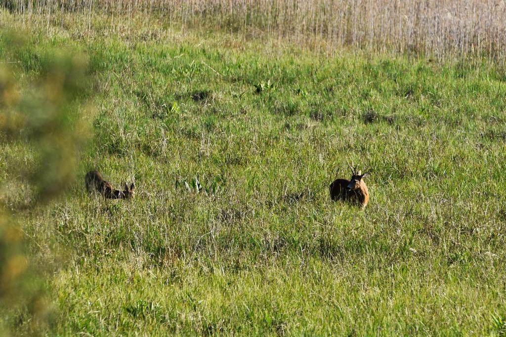 DSC_7405