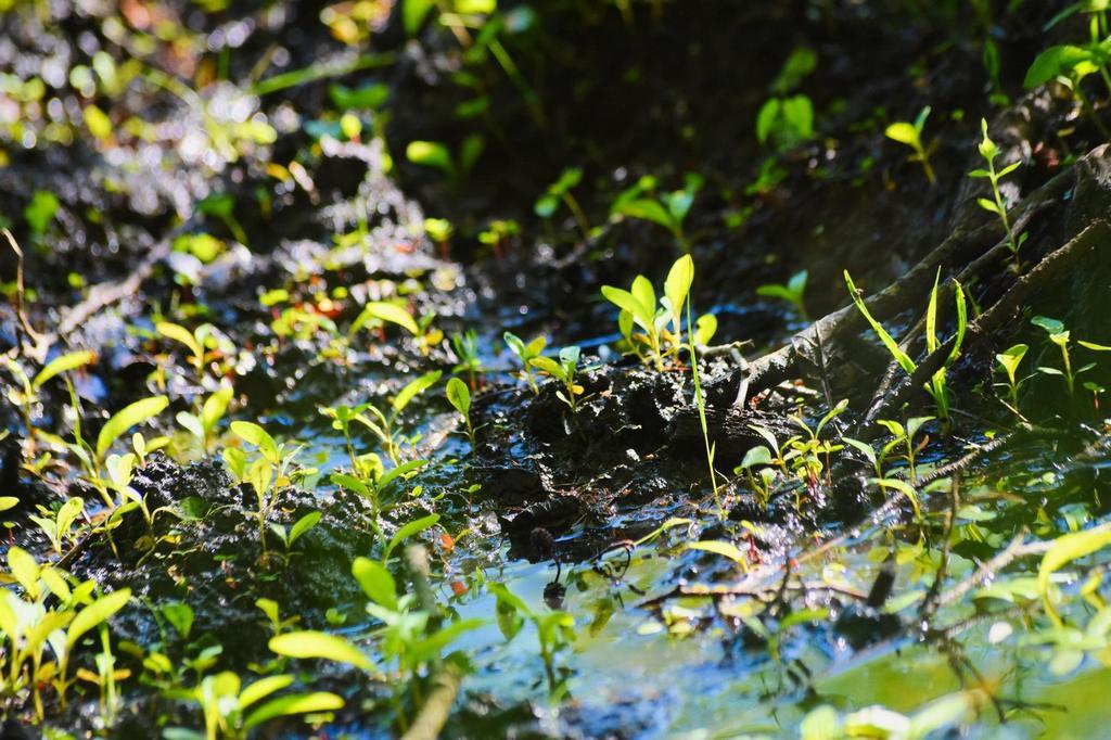DSC_7507
