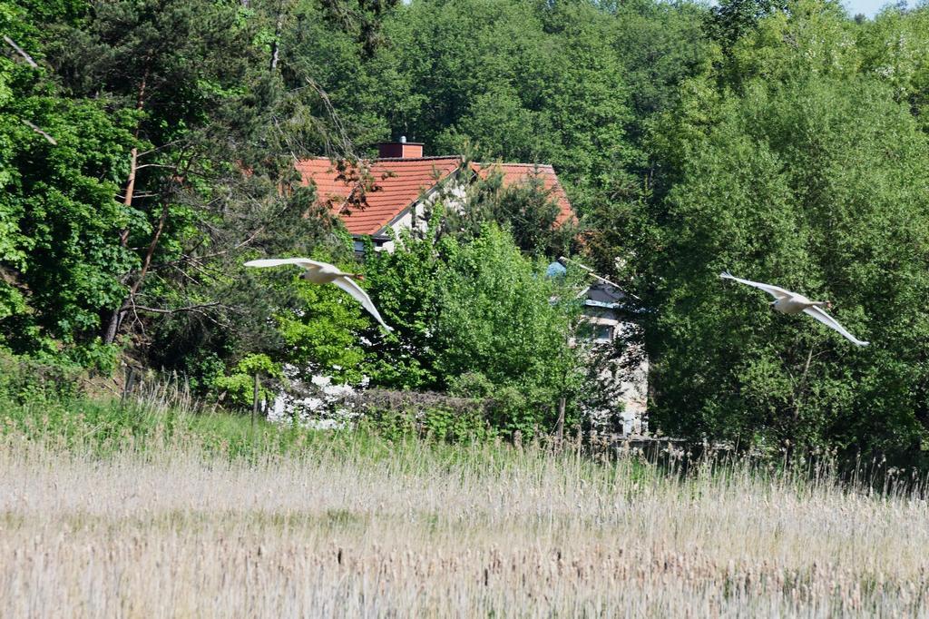 DSC_7646