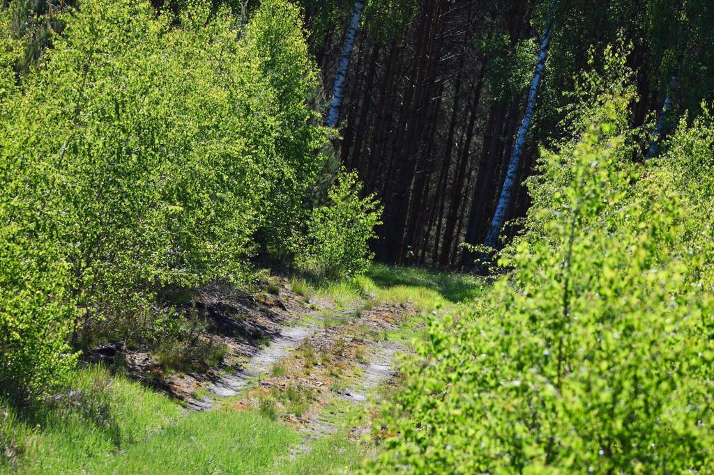 DSC_7684