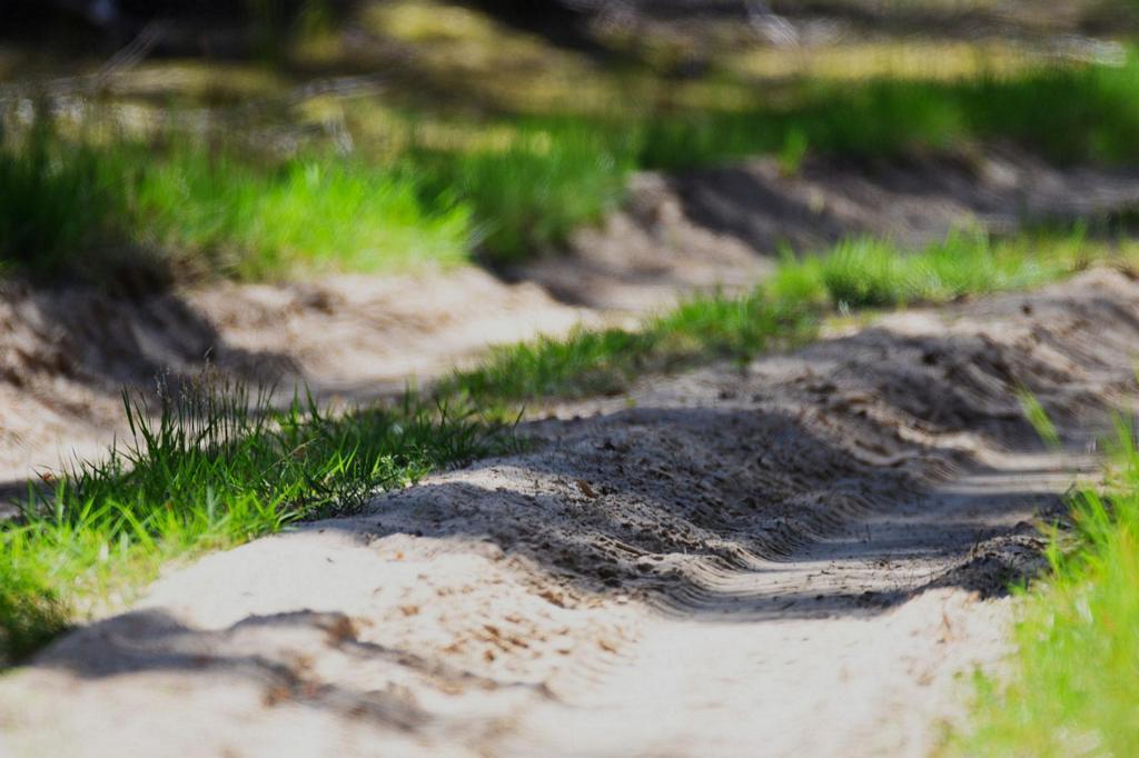 DSC_7697