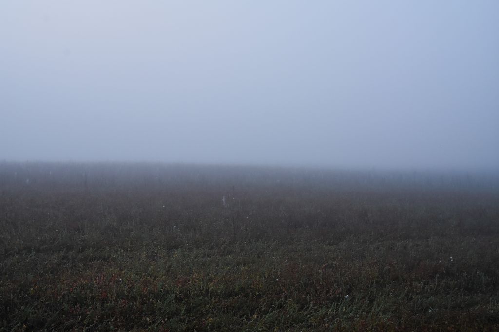 DSC_0198