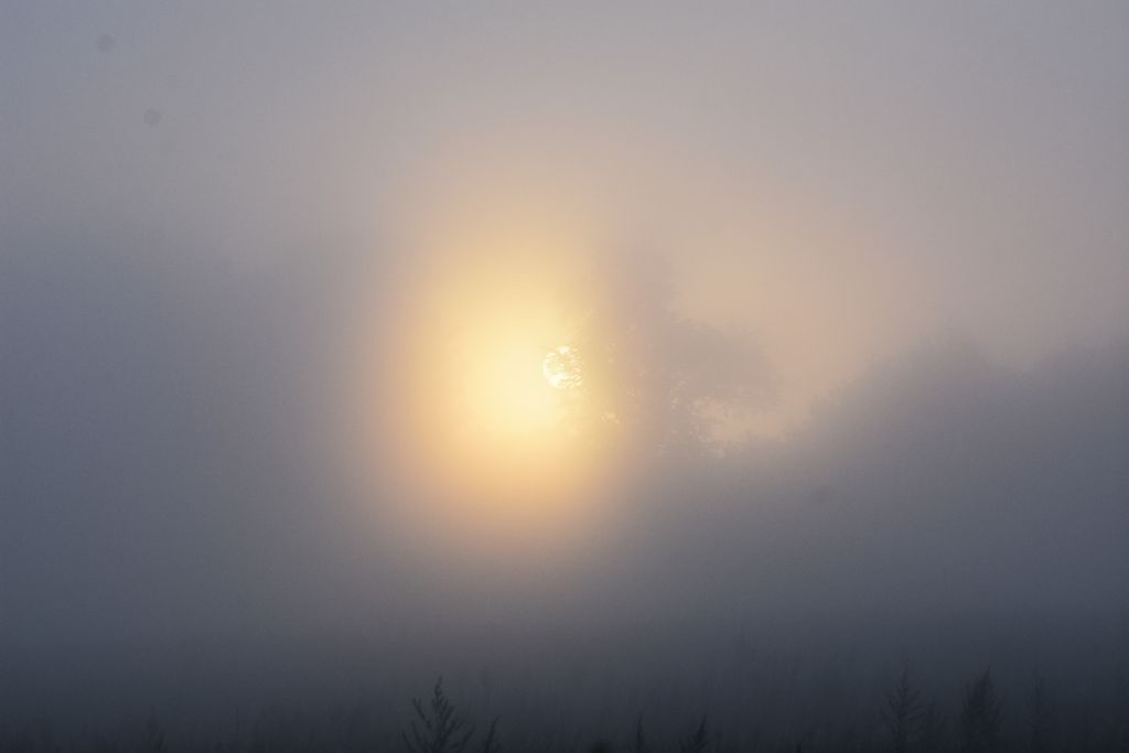 DSC_0208