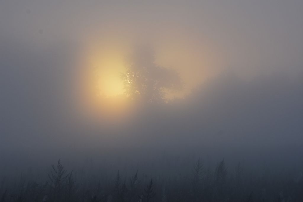 DSC_0209